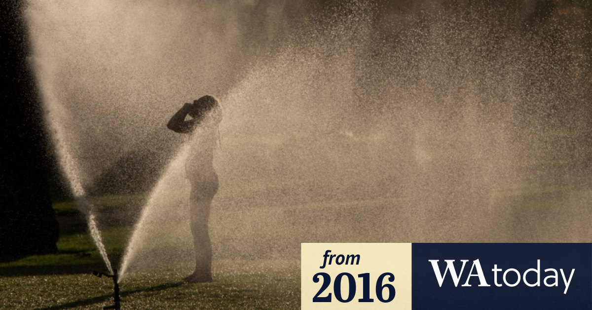 Perth homeowners fined in record levels for defying summer sprinkler bans